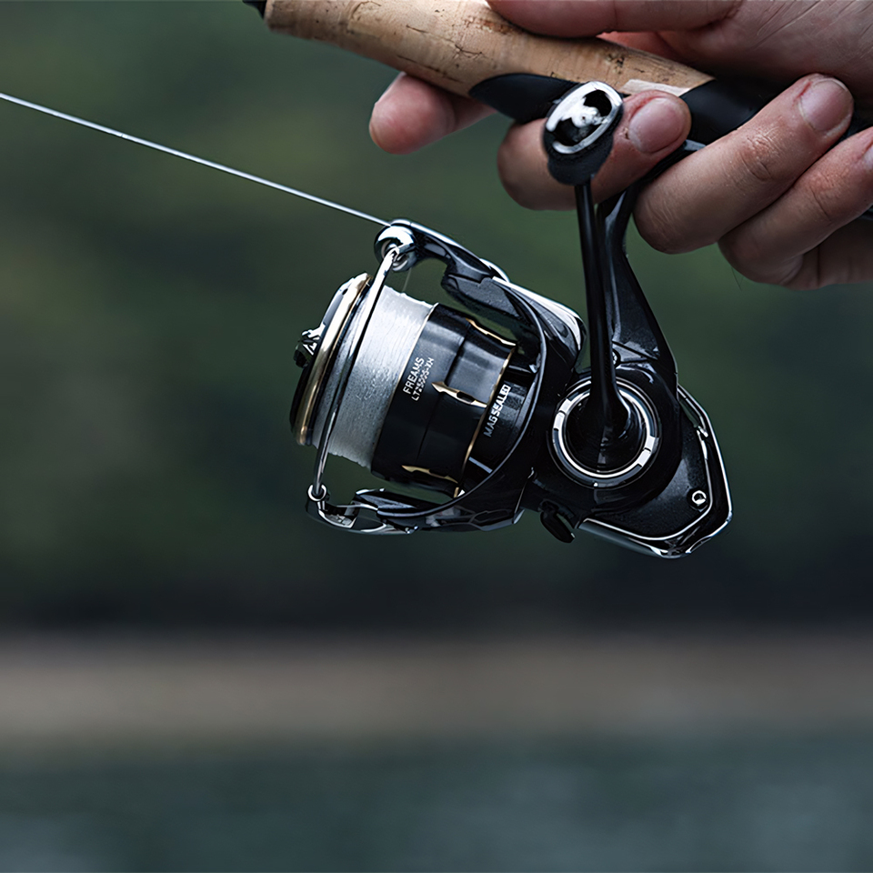 DAIWA 2026 FREAMS Spinning Ree - огляд і ціна Shimano Reel Stradic